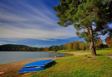 Swimming pool and swimming in nature